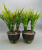 查理和巧克力: 43CM13 Leaf Artificial Tropical Plants Bunch Green Magnolia Leaf DIY Plants Wall Material For Wedding Garden Liv