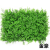 Green Decorative Greenery 40 * 60cm