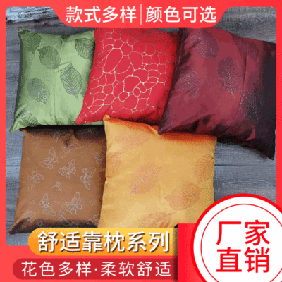 Throw Pillow Filler Cushion Inner Core High Elastic Pillow Core Cushion Core Square Pillow Sofa Backrest Core European and American Entry Lux