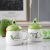 New Ceramic Cute Avocado Water Cup Creative Mug with Cover Spoon Student Couple Home Breakfast Coffee Cup