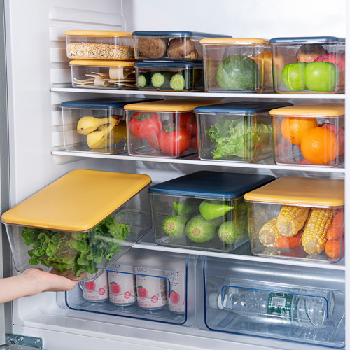 Refrigerator Storage Box Kitchen Fresh-Keeping Frozen Vegetables Fruits Food Food Finishing Artifact Large Capacity Storage Box