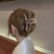 Bow Chain Elegant Back Head Large Hair Clip Updo Hair Claw Headdress