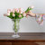 Transparent Glass Hydroponics Small Vase Dining Table Flower Arrangement Flower Dried Flower Living Room Small Vase Hp200 Base Series