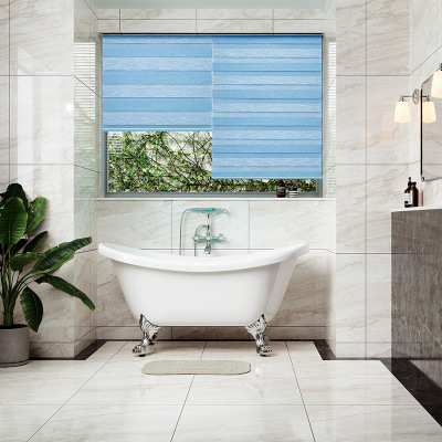 Export Foreign Trade Bathroom Curtain Partition Curtain Venetian Blind Double-Layer Soft Yarn Roller Shutter Half Shade Mesh Curtains Office Curtain
