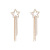Light Luxury Elegant Pentagram Earrings Super Girl Long Fringed Zircon Eardrops Sterling Silver Needle Ear Rings