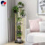 Flower Rack Indoor Multi-Layer Mobile Flower Stand Living Room Green Dill and Bracketplant Flower Stand Simple European Style Household Jardiniere