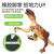 Amazon Children's 2.4G Wireless Remote Control Raptor Electric Sound and Light Artificial Mechanical Dinasour Model Toy