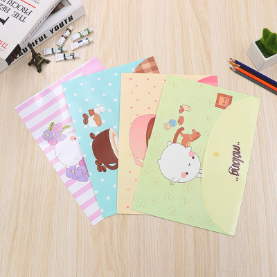 Korean Style Cute A4 File File Bag Material Test Paper Cartoon File Bag Stationery Storage File Folder Printable