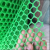 Plastic Plain Net, Plastic Net, Hexagonal Hole Mesh, Green Plastic Net, PVC Mesh