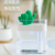 Cactus Mini Humidifier USB Night Light Office Water Replenishing Instrument Atomization Humidifier