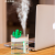 Cactus Mini Humidifier USB Night Light Office Water Replenishing Instrument Atomization Humidifier