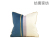 2021 New Couch Pillow Affordable Luxury Style Back Cushion Suede Rolled Two-Tone Square Fashion Pillow