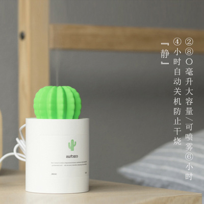 Cactus USB Humidifier Mini Desktop Mute Vehicle-Mounted Home Use Office Air Purification Humidifier