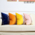 2021 New Couch Pillow Affordable Luxury Style Back Cushion Suede Rolled Two-Tone Square Fashion Pillow