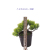 Xiang Rui New Artificial Plant 1# Mini Beauty Pine Tree Small Pot Plant Pine Tree Home Decoration Floor Decoration Tree Direct Sales