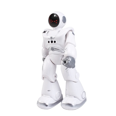 Wholesale Children Gift Gesture Sensor Intelligent Programming Automatic Presentation Robot Rc Robot Toys Rc Toys