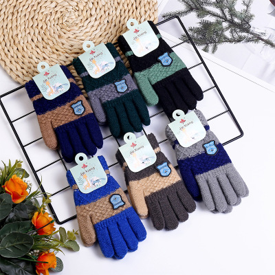 New Products in Stock Twill Autumn and Winter Gloves Men's Reverse Needle Labeling Double-Layer Jacquard Stripe Warm Gloves Direct Supply