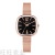 Square rose gold mesh quartz watch fashion simple digital women's watch factory direct Reloj