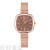 Square rose gold mesh quartz watch fashion simple digital women's watch factory direct Reloj