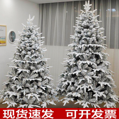 Christmas White Snowflake Flocking PE Christmas Tree 1.5 M 1.8 M 2.1 M 3 M Simulation Cedar Snow Decoration