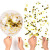 2021 hot Party Supplies Transparent Helium Clear Latex Confetti Balloon