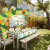 Jungle Theme Wild One Party Decoration Wild One Balloon Backkrop Tablecloth Banner For Children Birthday Party Supplies