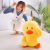 New TikTok Little Yellow Duck Doll Internet Celebrity Dancing Big Yellow Duck Plush Toy Soft Doll Gifts for Children and Girls