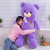 New Large Bow Teddy Bear Plush Toy for Girls Sleeping Leg-Supporting Pillow Big Bear Doll Wedding Doll