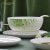 Huaguang National Porcelain Antibacterial Bone China Spring Garden Tableware Set Tea Set Gift Box