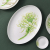 Huaguang National Porcelain Antibacterial Bone China Spring Garden Tableware Set Tea Set Gift Box