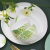 Huaguang National Porcelain Antibacterial Bone China Spring Garden Tableware Set Tea Set Gift Box