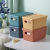 Desktop Storage Box with Lid Sundries Storage Box Plastic Basket Snack Storage Basket Cute Small Box Dormitory Home