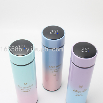 500ml Gradient Temperature Display Straight Cup