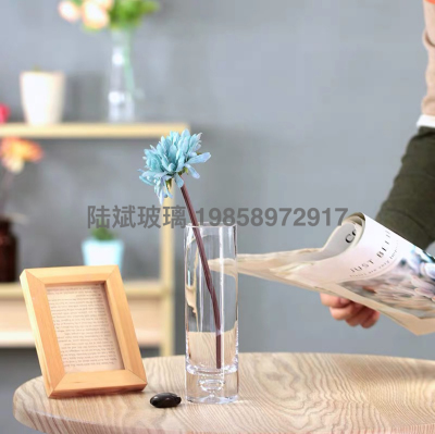 Modern Simple Straight Bubble Glass Vase Thickened Hydroponic Flower Pot Living Room Flower Arrangement Decoration Lucky Bamboo
