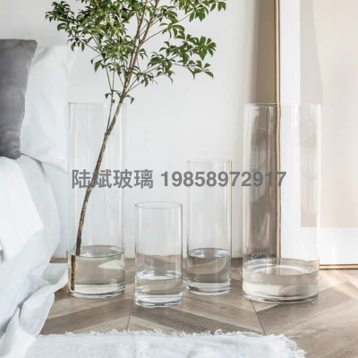 Floor Straight Vase Large Glass Transparent Nordic Internet Celebrity Ins Style Flower Container Drunk Wood Water Culture Hydroponic Vessel