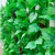 Artificial Grape Leaves Rattan Vine Plant Leaf Shaped Pipe Ceiling Decorative Flower Vine Plastic Flower Green Leaf Winding