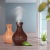 Wood Grain Humidifier Wood Grain Aroma Diffuser 5V Car Aromatherapy Disinfection Purification Hot-Selling Electroplating Humidity Aromatherapy Machine Aroma Diffuser Cross-Border