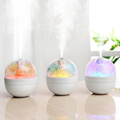 Cute Pet Sweetheart Rabbit DIY Humidifier USB Mini Home Air Cleaner Preserved Fresh Flower Handmade Gift Customization