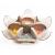 Creative Lotus-Shaped Candy Box Multi-Functional Dried Fruit Box Living Room Transparent Push-Type Melon Seeds Snack Candy Storage Box
