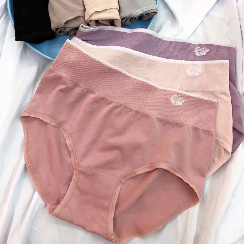 2023 high-grade 8055 women‘s seamless underwear women‘s body shaping briefs factory direct supply high elasticity plus-sized