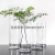 Bamboo Glass Vase Transparent High Water Bamboo Lucky Bamboo Dragon Bamboo Fortune Bamboo for Florists Cylindrical Straight