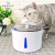 Cross-Border Pet Smart Water Dispenser Stainless Steel Liner Cat Water Fountain Loop Filter Mute Water Dispenser