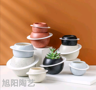 Creative Ceramic Iron Sheet Succulent Plants Pot Fashion Simple and Light Luxury Ceramic Decorations Decoration