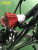Electric Car Motorcycle Spotlight 12v-80v Universal Spotlight Super Bright Lens External Hanging Accent Light Xinhui 