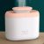 Double Spray Humidifier Household Small Mini Car USB Portable Air Purification Humidifier