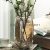 Vase 2021 New Style Decoration Living Room Flower Arrangement Light Luxury High-End Ins European Style Utensils Dining Table Nordic Niche Retro