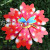 Double-Layer Maple Leaf Dragonfly Bee Kindergarten 61 Activity Venue Decorating Windmill Advertising Building Scenic Spot Park