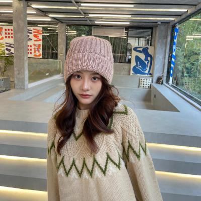 Hat Female Winter Korean Style All-Match Student Wool Cap Tide Autumn Winter Sleeve Cap Thickened Knitted Hat Beanie Hat Wholesale