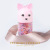 Korean Cute Puppy Bottled Disposable Rubber Band Children Cartoon Little Hair Ring Strong Pull Constantly Does Not Hurt Hair Rope