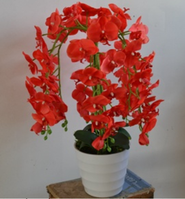 Simulation Red Phalaenopsis Bonsai Decoration Table Decoration